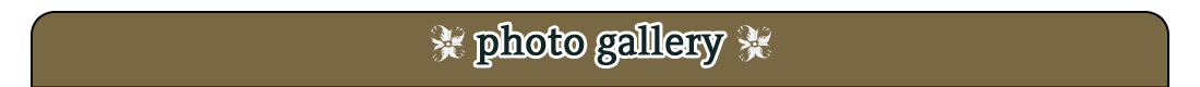 Photo Gallery