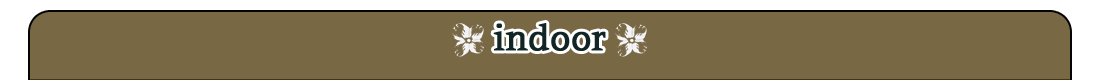 Indoor Area