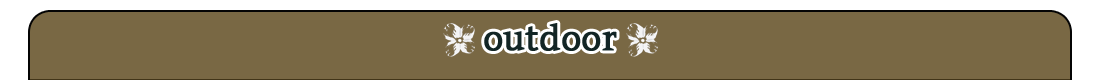 Outdoor Area